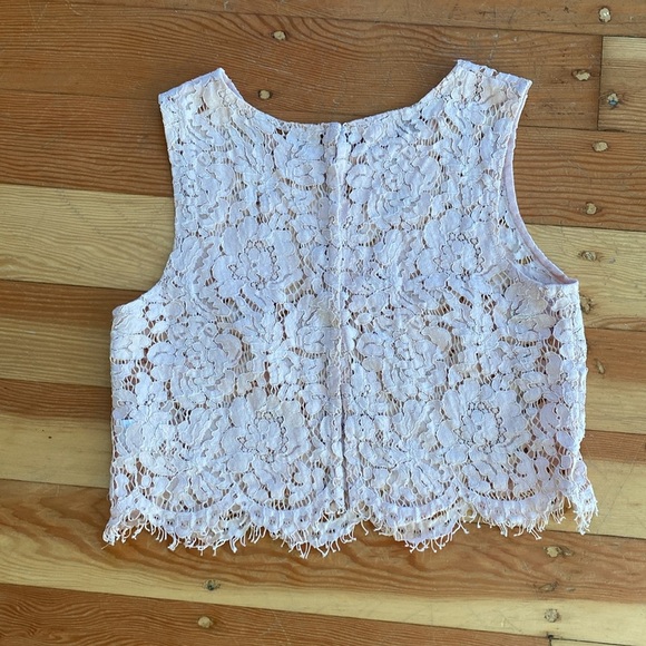 Jenny Yoo Collection Lace Sleeveless Blush Pink‎ Cropped Top XS - Picture 4 of 4